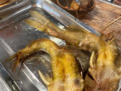 -隆康社长沙烧烤铺(桔园店)