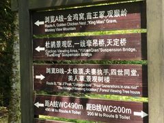 -大围山国家森林公园