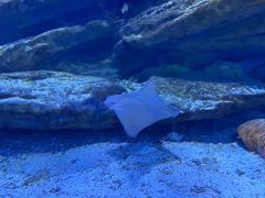 -海合安武汉极地海洋公园