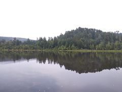 -五营红松林海景区