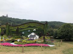 -苏州上方山国家森林公园