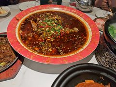 -新概念来凤鱼(璧山店)