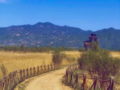 -野鸭湖国家湿地公园