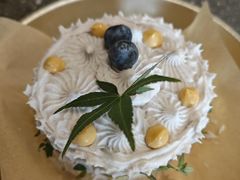 -野草莓自由市场