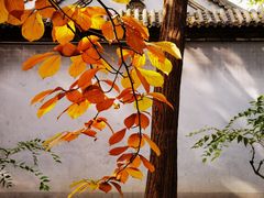 -玲珑塔公园
