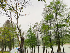 -松山湖风景区松湖烟雨