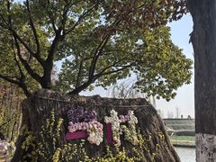-乌村