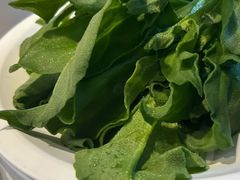 -龍歌自助小火锅(李沧顺和汇店)
