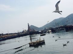 -星海广场
