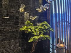 -上足·影院足道·SPA(红岭店)