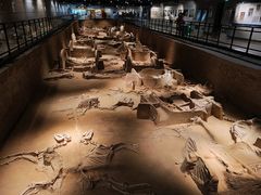 -洛阳周王城天子驾六博物馆