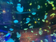 -华夏文旅西安度假区