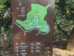 -上海佘山国家森林公园天马山园