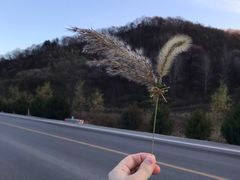 -南泥湾风景区