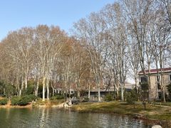 -河南省黄河迎宾馆