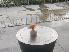 -日落吧·海景咖啡厅·餐酒吧·鸡尾酒·下午茶·乐队表演·浪漫夕阳·三亚文华东方酒店