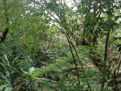 -七仙岭君澜度假酒店