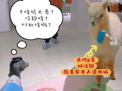 -怪兽屋·羊驼·猫咖·狗咖(俊华广场店)