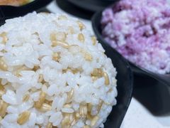 -新仙清汤牛腩(铜锣湾店)