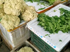 -华威西营里农产品批发市场