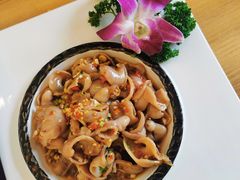 鲜椒沙鱼肚-云里小坐·小院里·团建·宴请·下午茶(三圣乡店)
