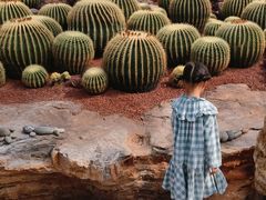 -南通洲际绿博园