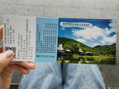 -呀诺达热带雨林