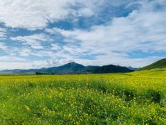 -扁都口生态休闲旅游区