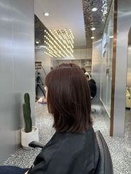 -Tloml salon