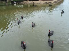 -无锡动物园·太湖欢乐园