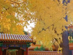 -戏马台景区