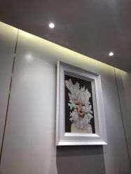 -YESIDO椰岛造型