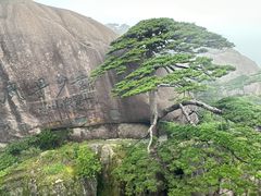 -黄山风景区