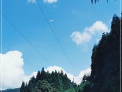 -武陵山森林公园