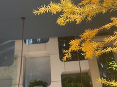 -荣小馆(安达仕店)