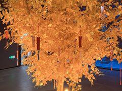 -遂昌金矿国家矿山公园
