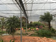 -无锡动物园·太湖欢乐园