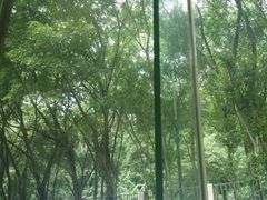 android_upload_pic-畔山酒店中餐厅