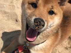 -鑫渔港海鲜本地菜·山海关浑锅(东戴河店)