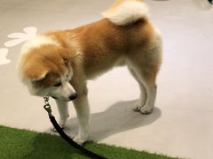 -YCHL Studios健身工作室(市二宫店)