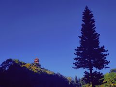 -深圳仙湖植物园
