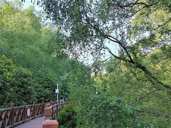 -大亚湾红树林城市湿地公园