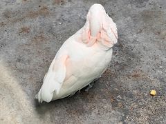 -济南野生动物世界