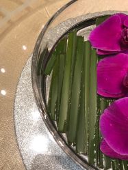 -上海绿地万豪酒店·大宴会厅