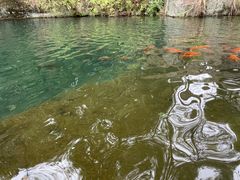 -千岛湖东南湖区
