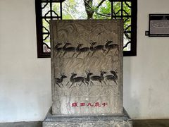 -上海醉白池公园