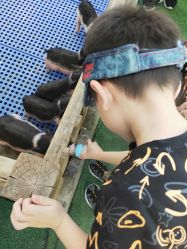 -萌宠亲子动物乐园(槐房万达店)