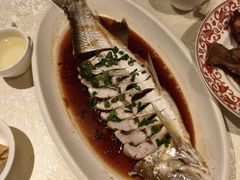 -金美华轩(东方路齐鲁店)