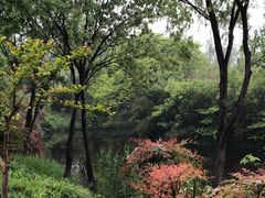 -西溪国家湿地公园