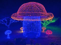 -上海海湾国家森林公园